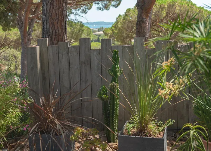 Joli Mazet Clim Vue St Tropez 圣马克西姆